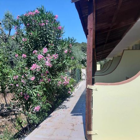La Piccola Mole Bed & Breakfast Peschici Eksteriør bilde